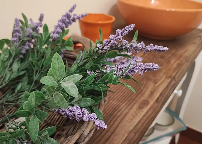 Antonia's Vacation Home, At The Museum Апартаменты