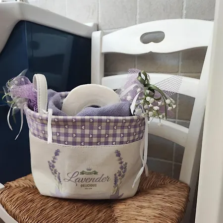 Antonia's Vacation Home, At The Museum