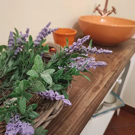 Antonia's Vacation Home, At The Museum Apartment